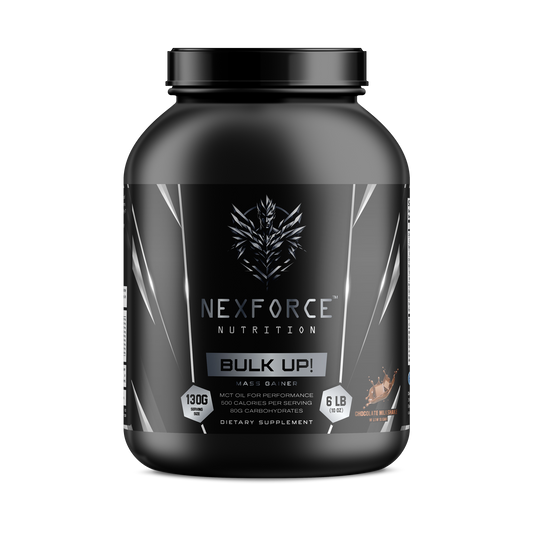 6lb Bulk Up! Mass Gainer Chocolate Milkshake